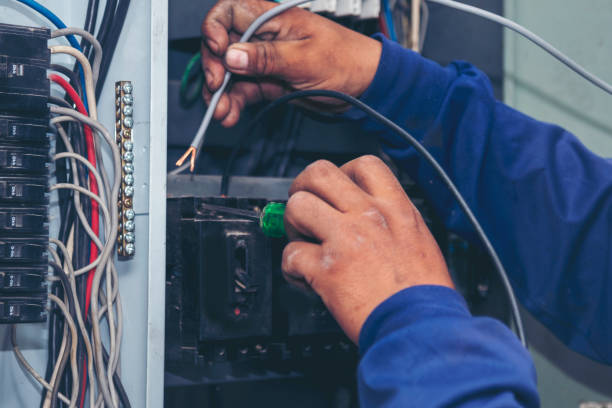 Best Local Electrician Companies  in Warrenvle, IL